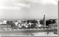 15-nador