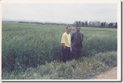 Dris y Fernando II
